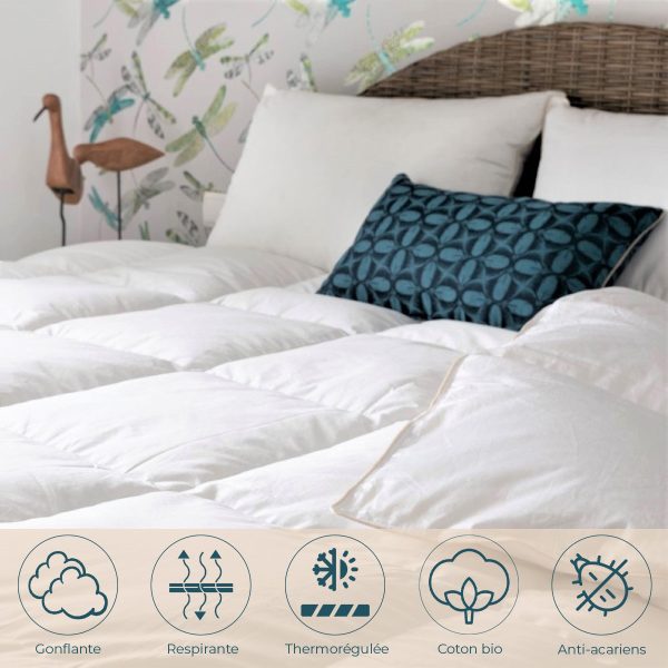 Couette duvet canard mi saison, Castex