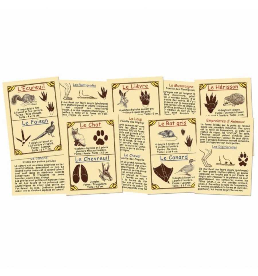 Cartes d'empreintes des animaux de nos campagnes