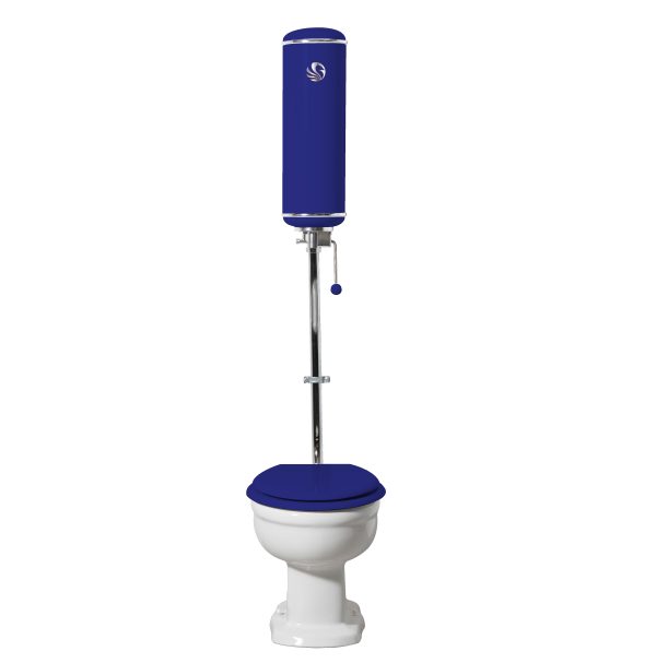 Toilette griffon bleu primaire