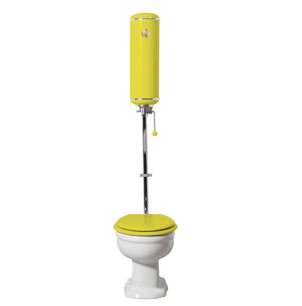 Toilette griffon jaune