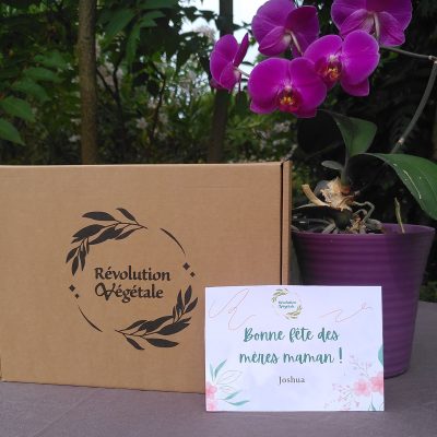 Révolution végétale box bestseller carte fete des mères