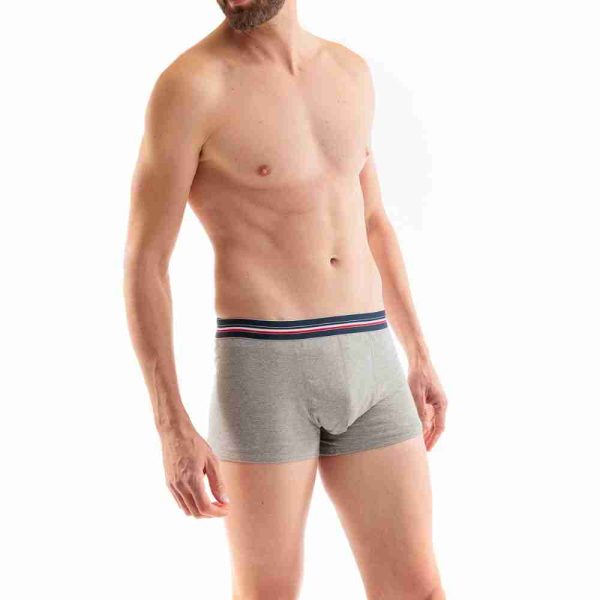 Made in France boxer gris
