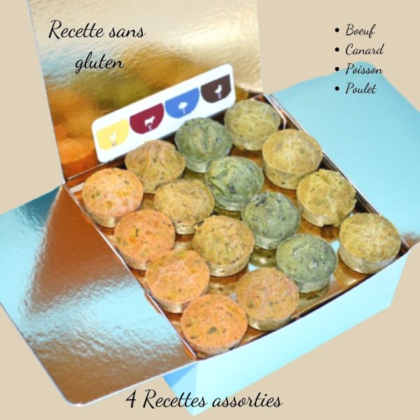 Boîte biscuits chien assortiment Crocandiz coffret ouvert