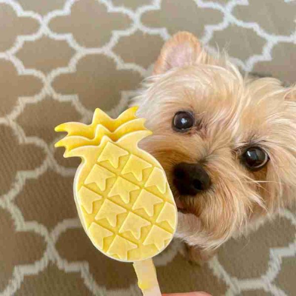 Crocandiz Dessert glacé pour chien forme d'ananas